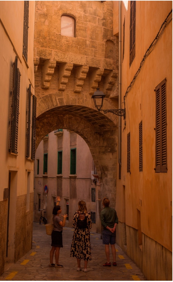 Arc_almudaina_guiding